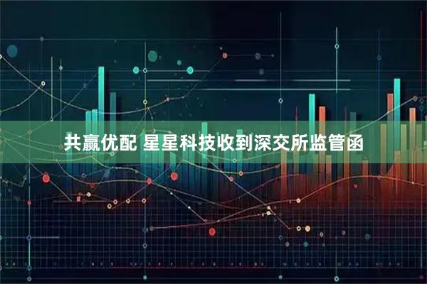 共赢优配 星星科技收到深交所监管函