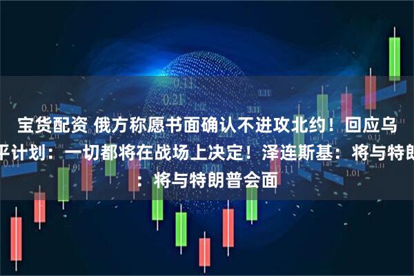 宝货配资 俄方称愿书面确认不进攻北约!回应乌新版和平计划:一切都将在战场上决定!泽连斯基:将与特朗普会面