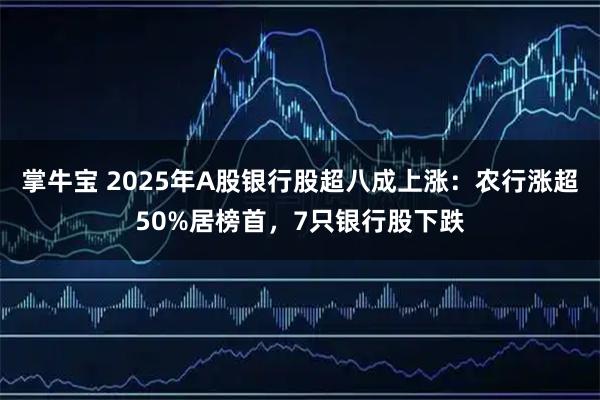 掌牛宝 2025年A股银行股超八成上涨：农行涨超50%居榜首，7只银行股下跌