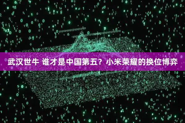武汉世牛 谁才是中国第五？小米荣耀的换位博弈