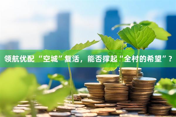 领航优配 “空城”复活，能否撑起“全村的希望”？